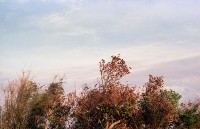 藏品(1950至2006年臺灣常民生活)的圖片