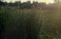 藏品(1950至2006年臺灣常民生活)的圖片