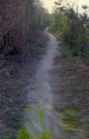 藏品(1950至2006年臺灣常民生活)的圖片