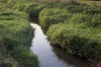 藏品(1950至2006年臺灣常民生活)的圖片