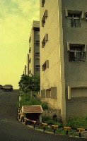 藏品(1950至2006年臺灣常民生活)的圖片