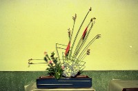 藏品(1950至2006年臺灣常民生活)的圖片