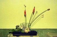 藏品(1950至2006年臺灣常民生活)的圖片