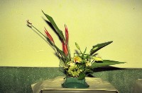 藏品(1950至2006年臺灣常民生活)的圖片