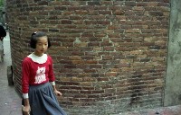 藏品(1950至2006年臺灣常民生活)的圖片