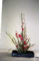 藏品(1950至2006年臺灣常民生活)的圖片