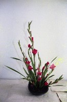 藏品(1950至2006年臺灣常民生活)的圖片