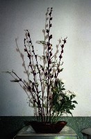 藏品(1950至2006年臺灣常民生活)的圖片