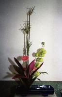 藏品(1950至2006年臺灣常民生活)的圖片