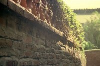 藏品(1950至2006年臺灣常民生活)的圖片