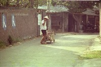 藏品(1950至2006年臺灣常民生活)的圖片