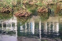 藏品(1950至2006年臺灣常民生活)的圖片