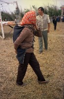 藏品(1950至2006年臺灣常民生活)的圖片