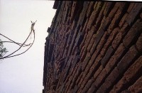 藏品(1950至2006年臺灣常民生活)的圖片