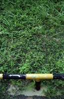 藏品(1950至2006年臺灣常民生活)的圖片