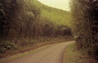 藏品(1950至2006年臺灣常民生活)的圖片