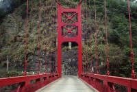 藏品(1950至2006年臺灣常民生活)的圖片