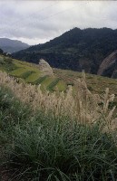 藏品(1950至2006年臺灣常民生活)的圖片