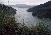 藏品(1950至2006年臺灣常民生活)的圖片