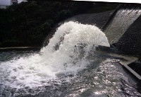 藏品(1950至2006年臺灣常民生活)的圖片