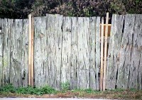 藏品(1950至2006年臺灣常民生活)的圖片