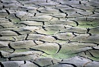 藏品(1950至2006年臺灣常民生活)的圖片