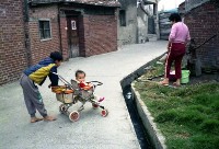 藏品(1950至2006年臺灣常民生活)的圖片