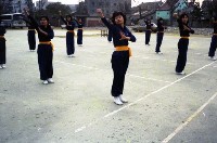 藏品(1950至2006年臺灣常民生活)的圖片