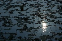 藏品(1950至2006年臺灣常民生活)的圖片