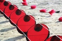 藏品(1950至2006年臺灣常民生活)的圖片