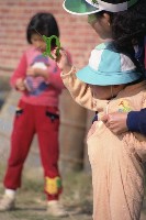 藏品(1950至2006年臺灣常民生活)的圖片