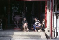 藏品(1950至2006年臺灣常民生活)的圖片