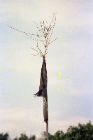 藏品(1950至2006年臺灣常民生活)的圖片