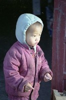 藏品(1950至2006年臺灣常民生活)的圖片