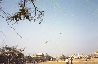 藏品(1950至2006年臺灣常民生活)的圖片