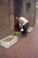 藏品(1950至2006年臺灣常民生活)的圖片