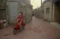 藏品(1950至2006年臺灣常民生活)的圖片