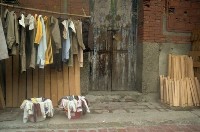 藏品(1950至2006年臺灣常民生活)的圖片