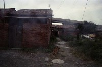 藏品(1950至2006年臺灣常民生活)的圖片