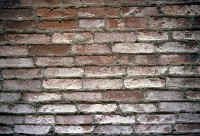 藏品(1950至2006年臺灣常民生活)的圖片