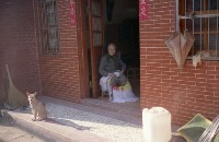 藏品(1950至2006年臺灣常民生活)的圖片