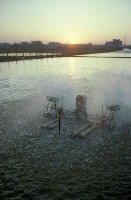 藏品(1950至2006年臺灣常民生活)的圖片