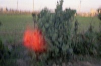 藏品(1950至2006年臺灣常民生活)的圖片