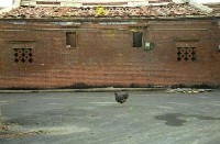 藏品(1950至2006年臺灣常民生活)的圖片