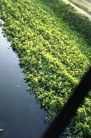 藏品(1950至2006年臺灣常民生活)的圖片