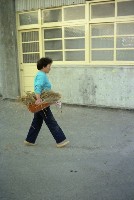 藏品(1950至2006年臺灣常民生活)的圖片