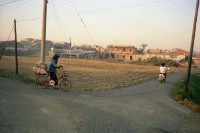 藏品(1950至2006年臺灣常民生活)的圖片