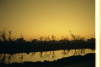 藏品(1950至2006年臺灣常民生活)的圖片