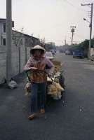 藏品(1950至2006年臺灣常民生活)的圖片