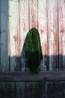 藏品(1950至2006年臺灣常民生活)的圖片